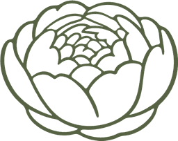 Outline peony logo