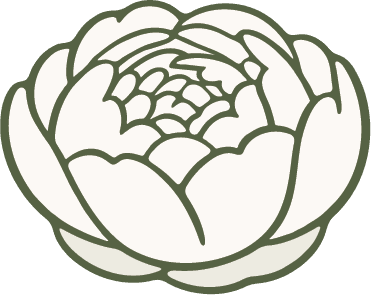 Filled Peony Icon