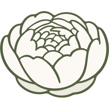 Filled Peony Icon