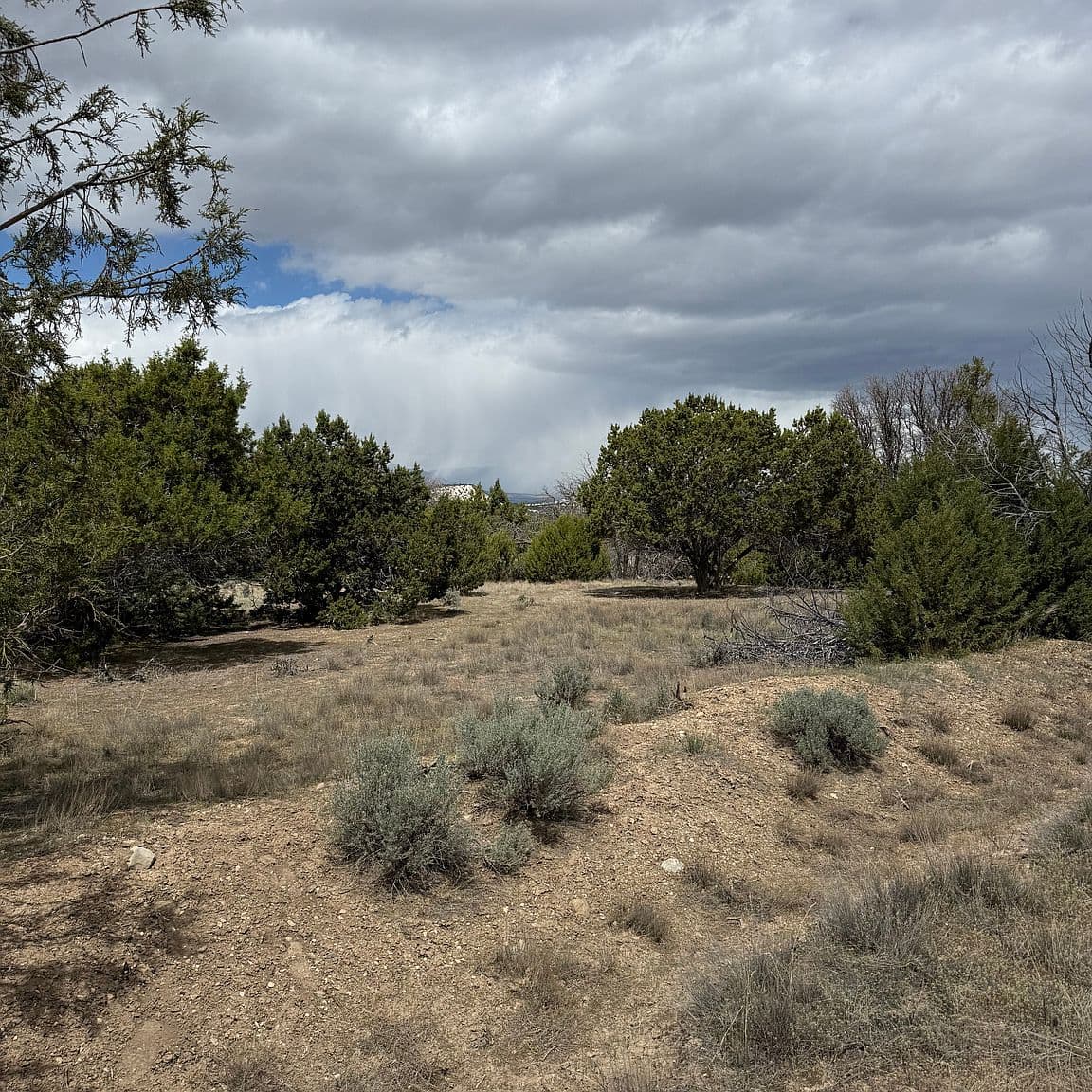 Lot 2 (60202) — Pigeon Hollow Ranch