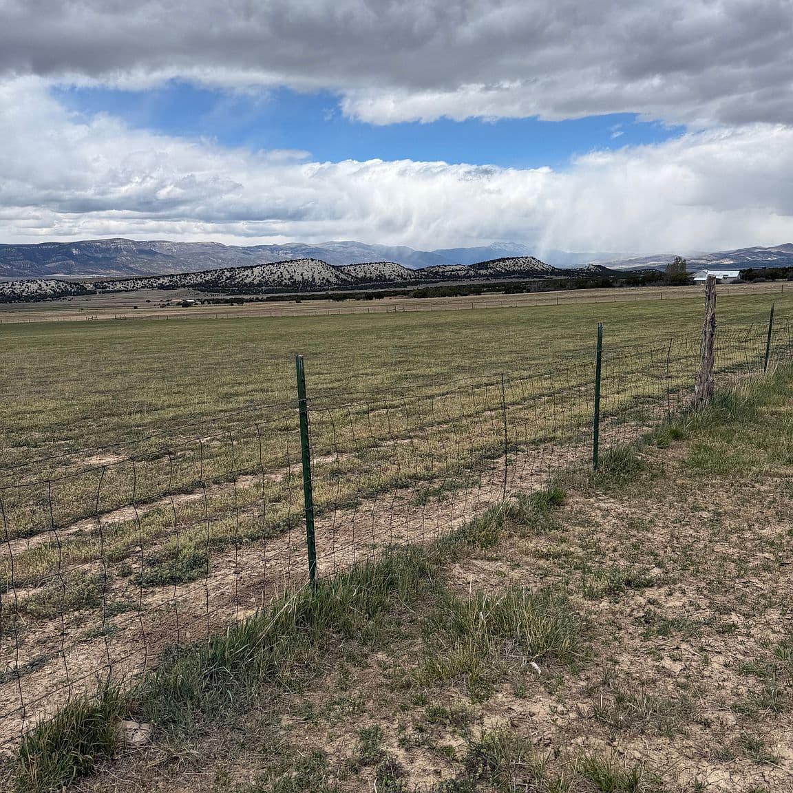 Pigeon Hollow Ranch — green pasture beneath the Wasatch Plateau, Spring City, Utah