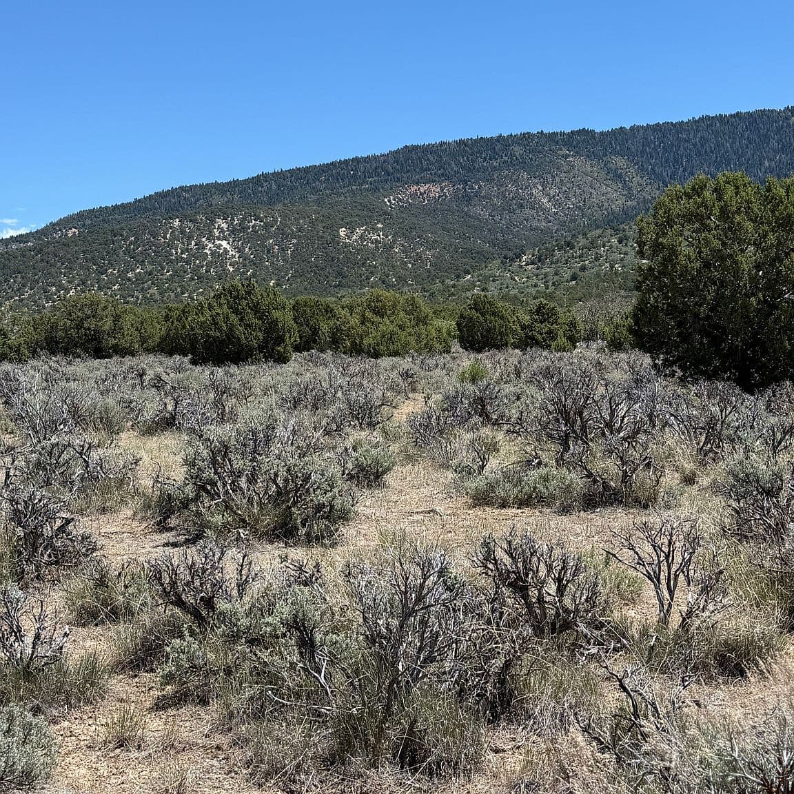Lot 8 (60208) — Pigeon Hollow Ranch