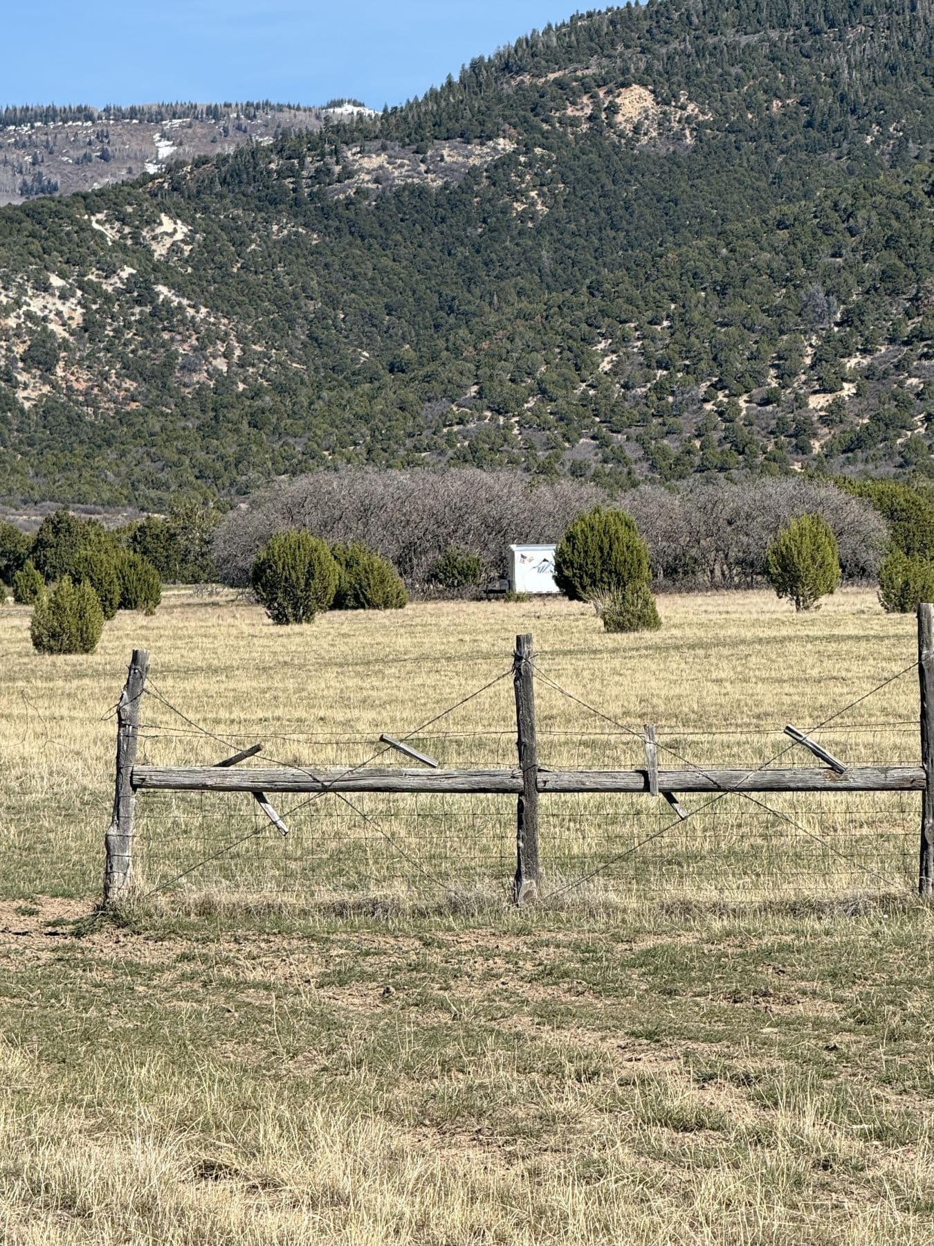 Lot 6 (60206) — Pigeon Hollow Ranch